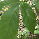 img01