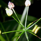 img01