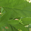 img01