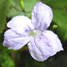 img01