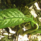 img01