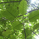 img01