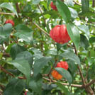 img01