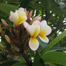 img01