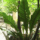 img01