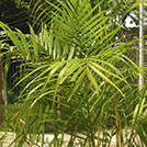 img01