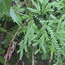 img01