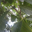 img01