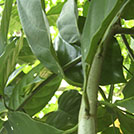 img01