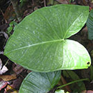 img01