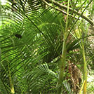 img01