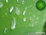 agua de lluvia