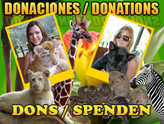 donaciones